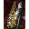 Saxophone : Alto Bicolore 6430 SC
