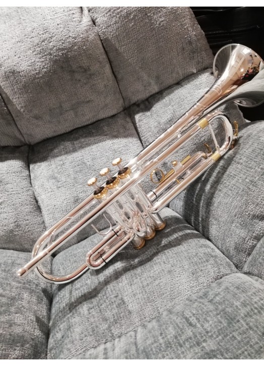 TROMPETTE d'ETUDE EN SIb 6418 SC